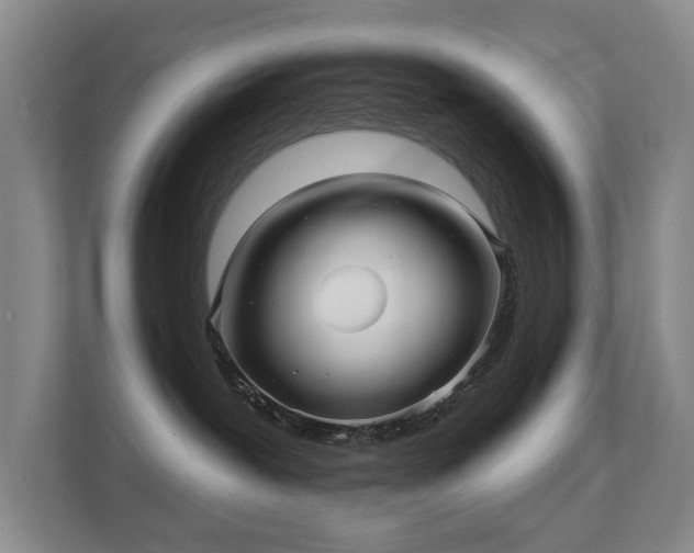 X0000112160239200908141241