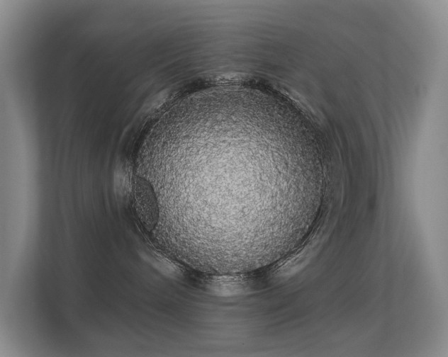 X0000112160240200908141240