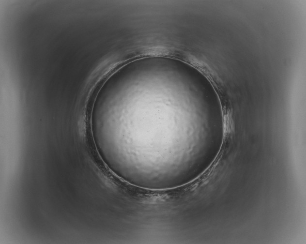 X0000112160243200908141240