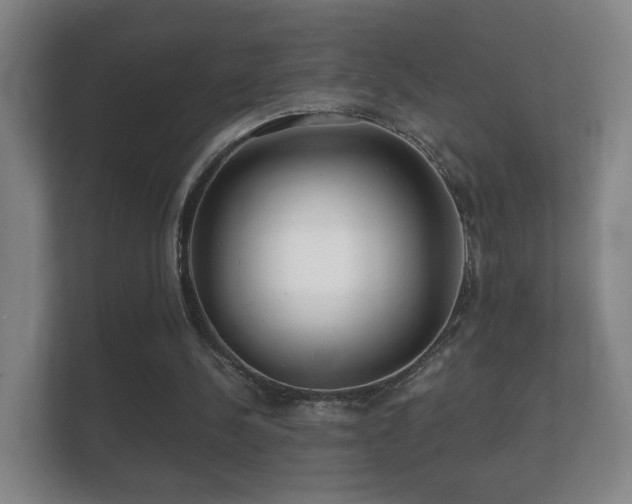 X0000112160244200908141240