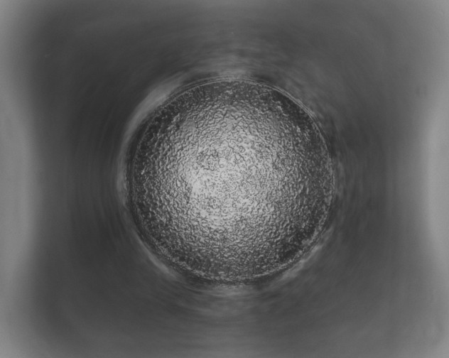 X0000112160245200908141240