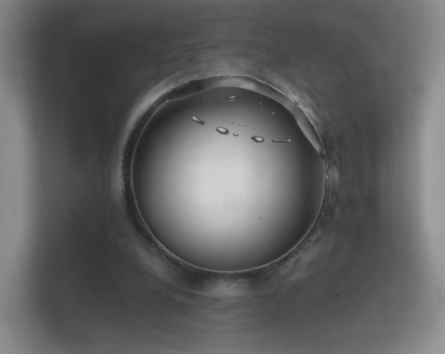 X0000112160248200908141240