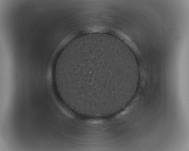 X0000112160250200908141240