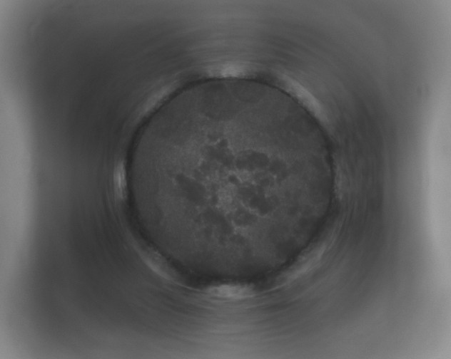 X0000112160251200908141240