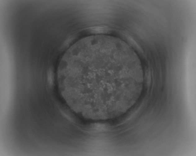 X0000112160255200908141240