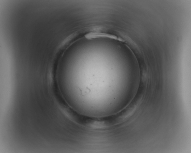 X0000112160256200908141240