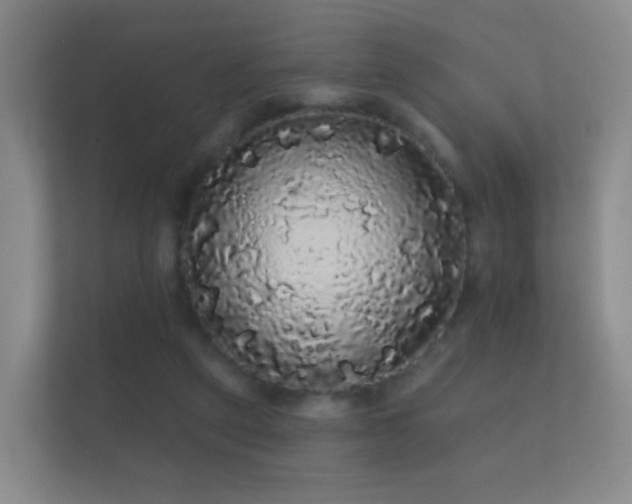 X0000112160257200908141240