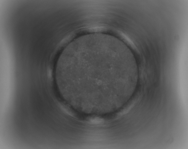 X0000112160258200908141240