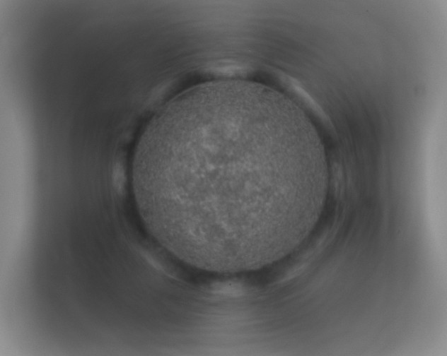 X0000112160259200908141240