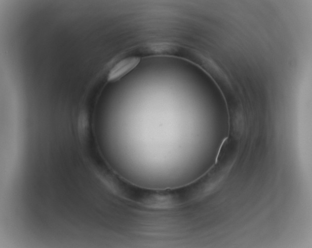 X0000112160260200908141240
