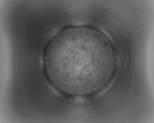 X0000112160261200908141240