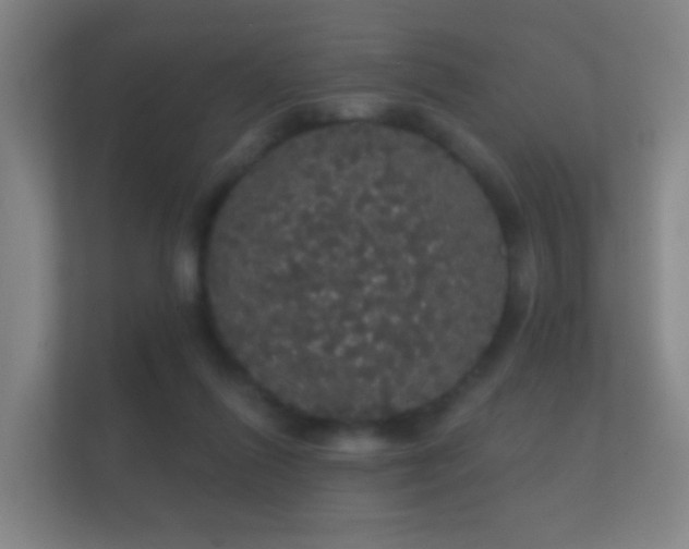 X0000112160262200908141240