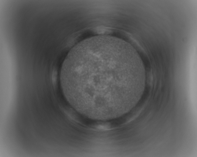X0000112160263200908141240