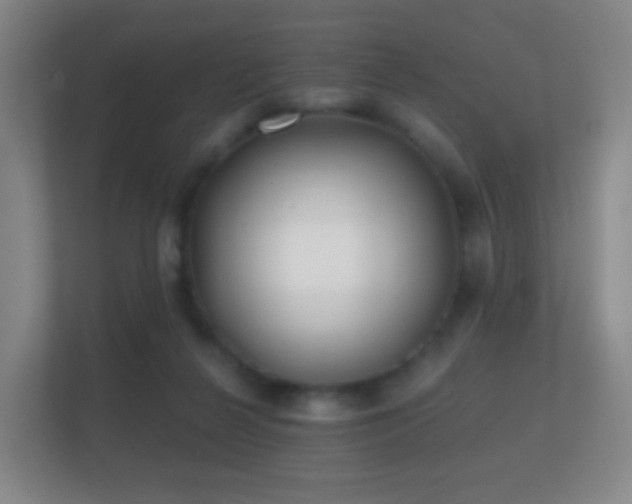 X0000112160264200908141240