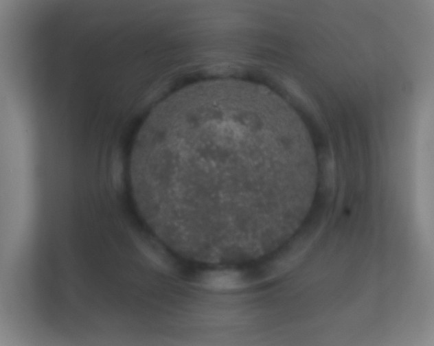 X0000112160266200908141240