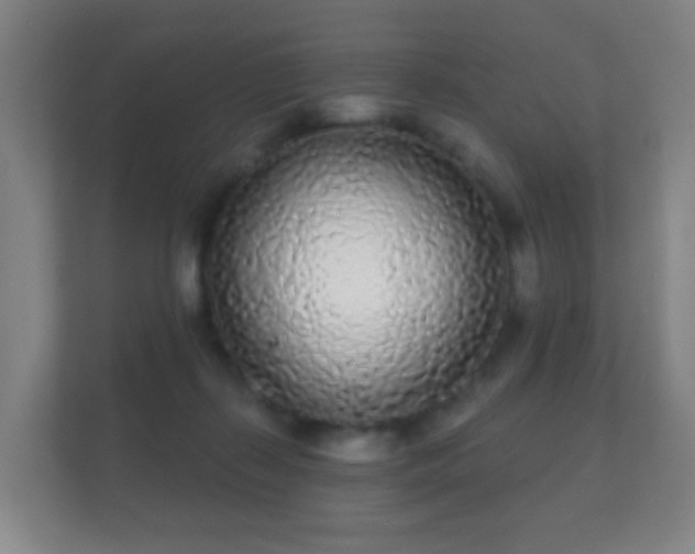 X0000112160267200908141240