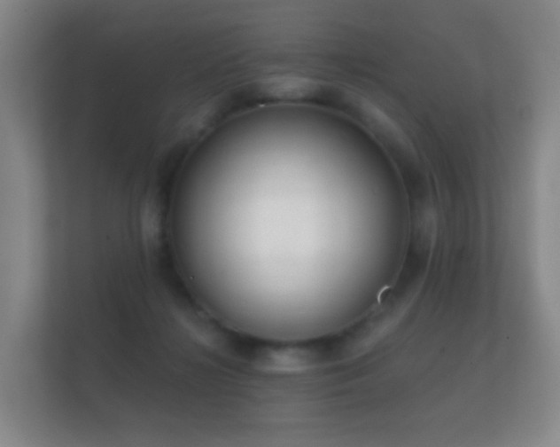 X0000112160268200908141240