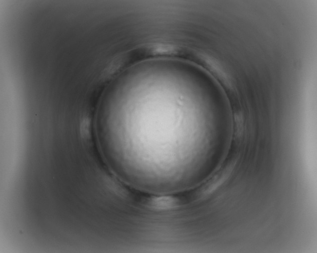 X0000112160269200908141240