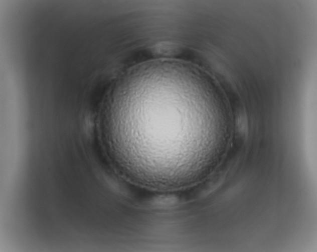 X0000112160271200908141240