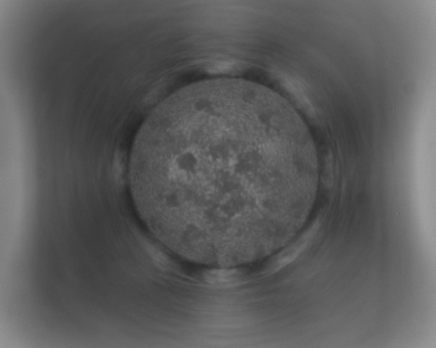 X0000112160273200908141240