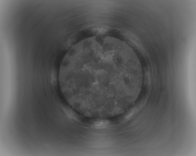 X0000112160274200908141240