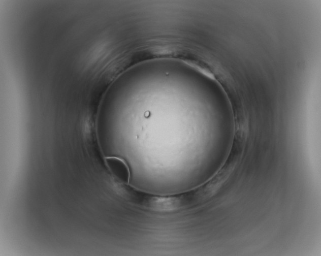 X0000112160277200908141240