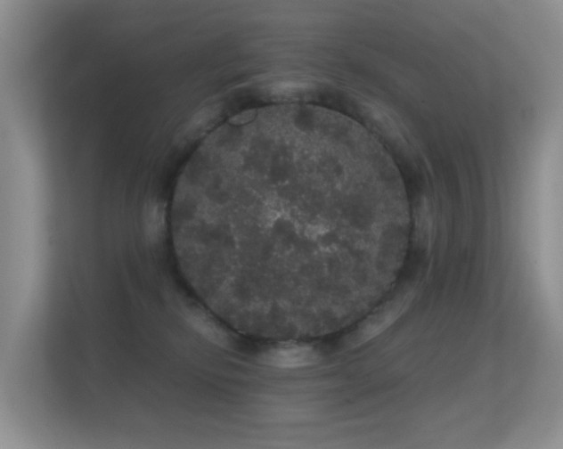 X0000112160278200908141240