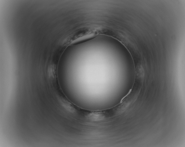 X0000112160280200908141240