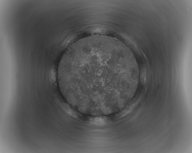 X0000112160282200908141240