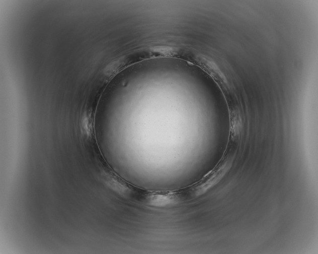 X0000112160285200908141240