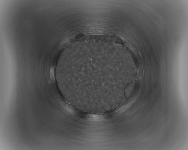 X0000112160286200908141240