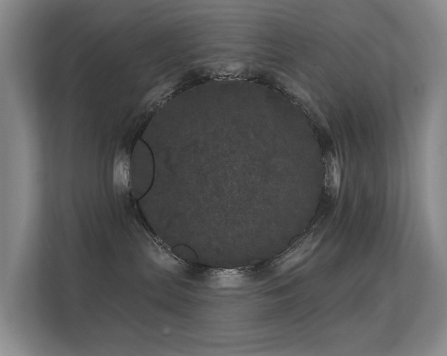 X0000112160287200908141240