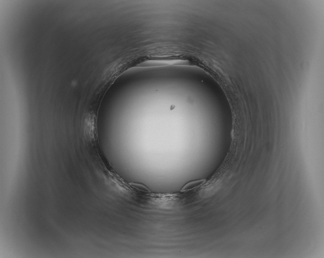 X0000112160288200908141240