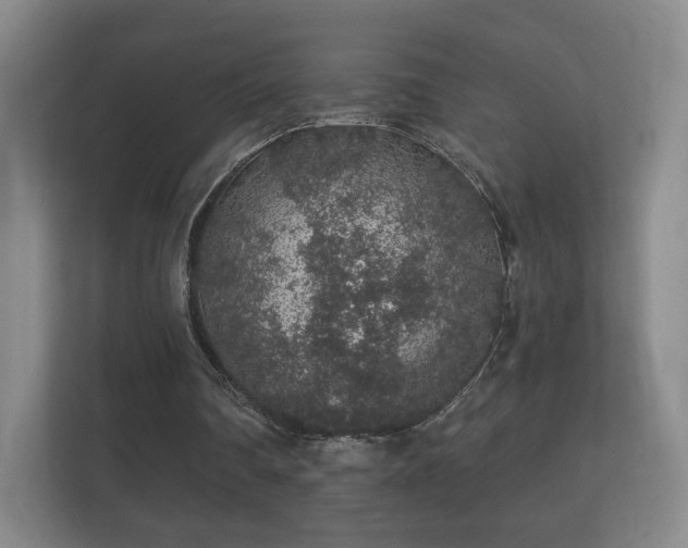 X0000112160290200908141240