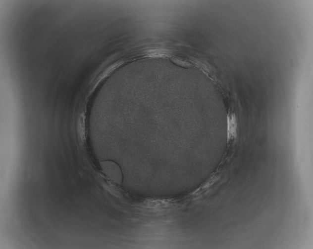 X0000112160291200908141240