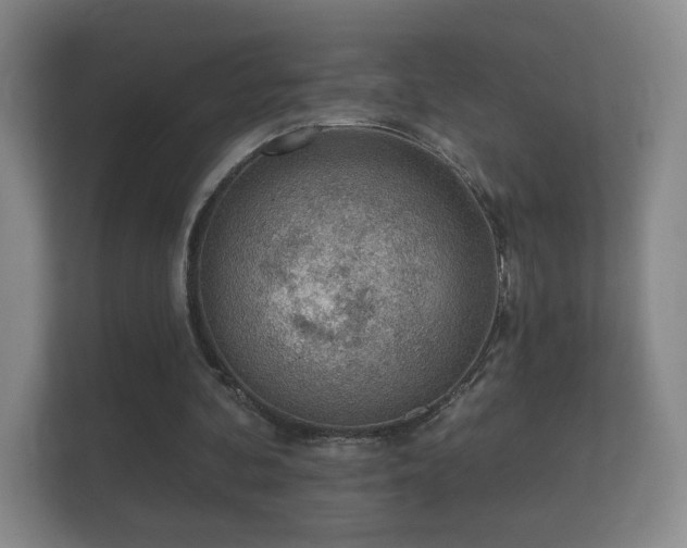 X0000112160292200908141240
