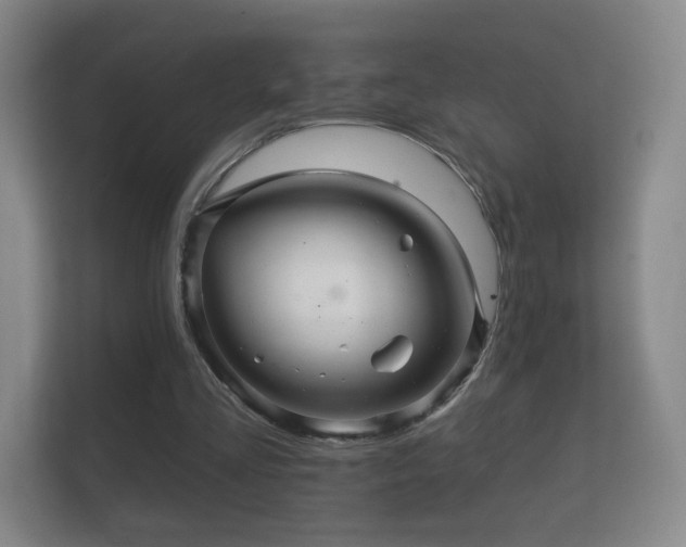 X0000112160293200908141240