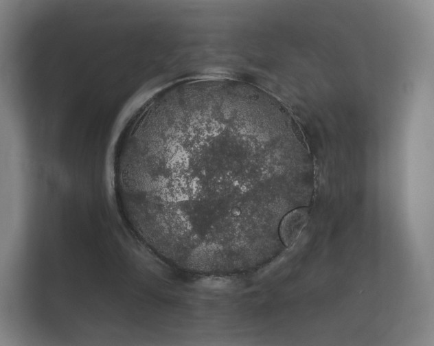 X0000112160294200908141240