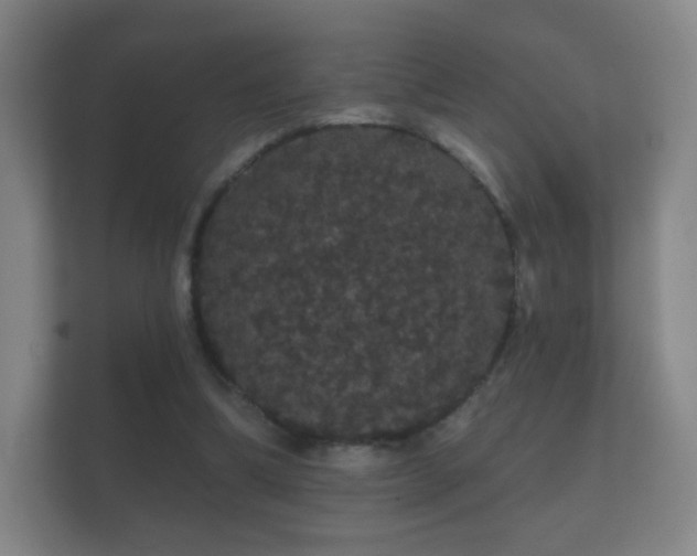 X0000112160298200908141240