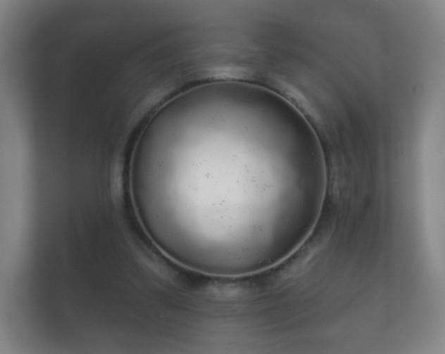 X0000112160299200908141240