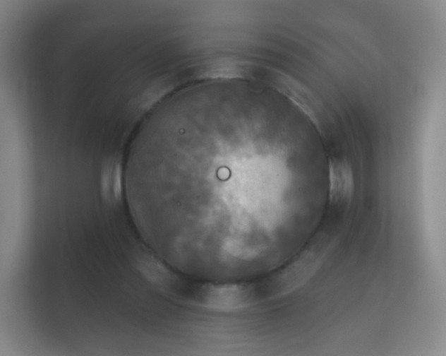 X0000112160301200908141240