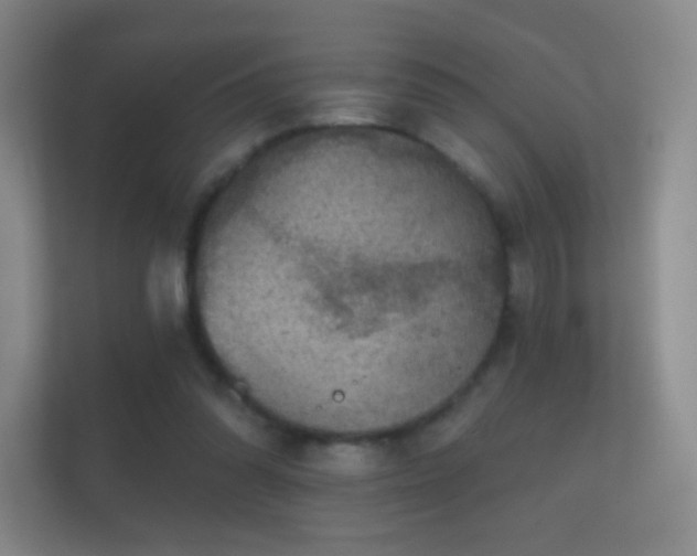 X0000112160302200908141240