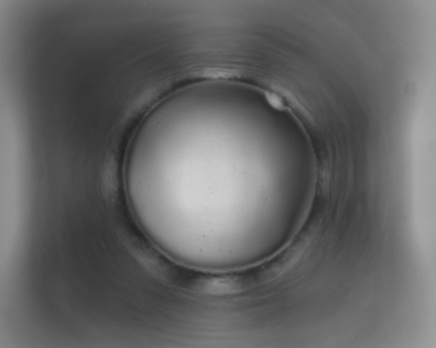 X0000112160303200908141240