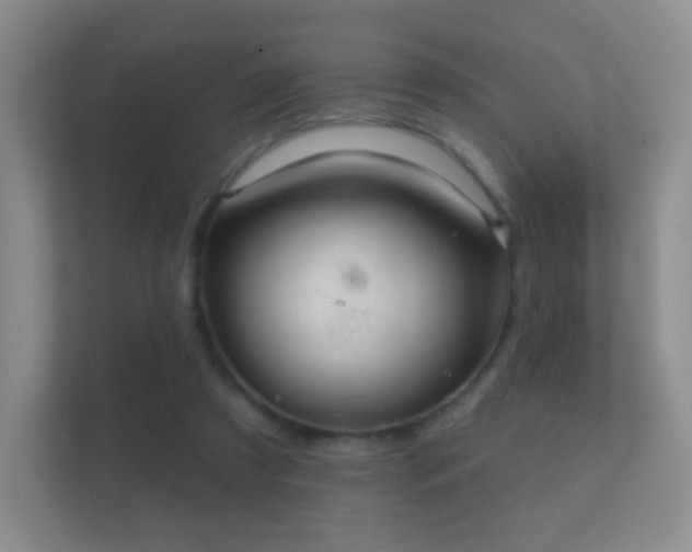 X0000112160305200908141240