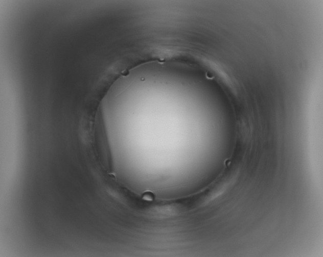 X0000112160307200908141240