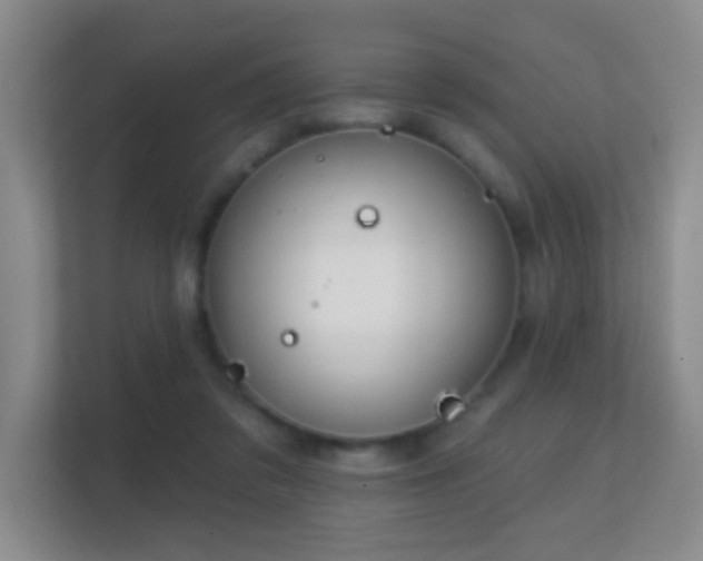 X0000112160309200908141240
