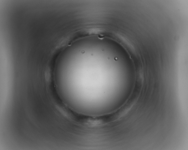X0000112160311200908141240