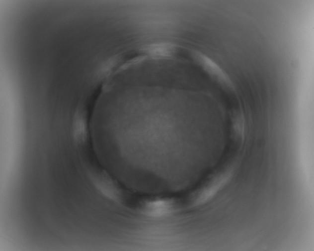 X0000112160312200908141240