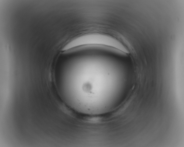 X0000112160313200908141240