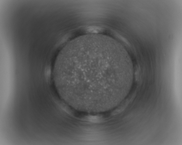 X0000112160314200908141240